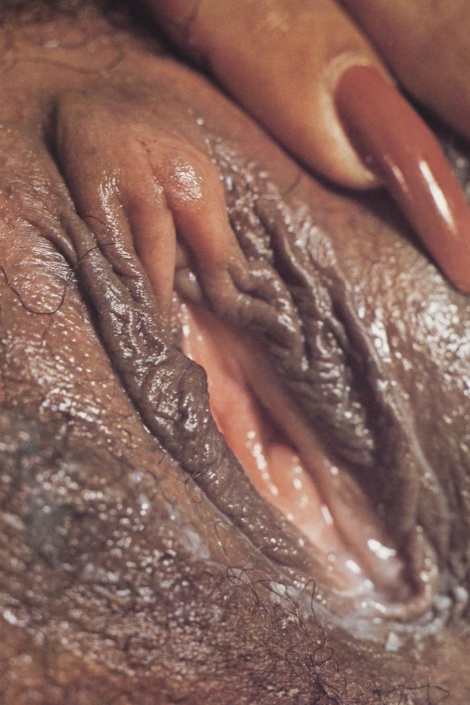 Sylvia McFarland Scanned Retro Big Tits Porn 27